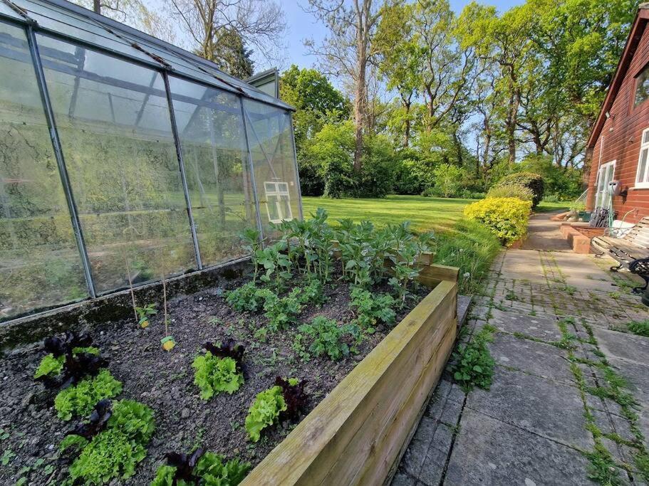 Country Retreat Near Sea And South Downs, On National Cycle Network Apartman Polegate Kültér fotó
